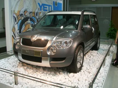 Тюнинг автомобилей Skoda Yeti в Москве