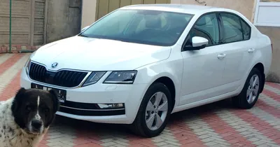 Skoda Octavia 17г., 1.6 литра, Приветствую уважаемые читатели,  автолюбители, двигатель 110 л.с., привод передний, Хэтчбек, АКПП, расход 5.9