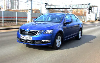 Skoda Octavia: тест самой желанной версии