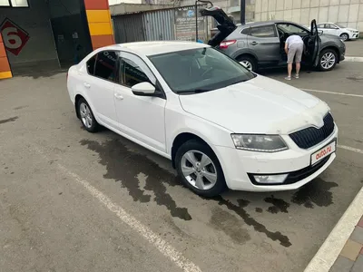 Отзыв владельца автомобиля Skoda Octavia 2013 года ( III (A7) ): 1.4 AMT  (140 л.с.) | Авто.ру