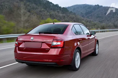 Skoda Octavia III (A7) рестайлинг (2017-2020 гг.): полный обзор,  характеристики, цена