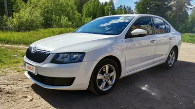 Подержанная Skoda Octavia: всё, что надо знать при выборе модели в кузове  A7 - читайте в разделе Разбор в Журнале Авто.ру