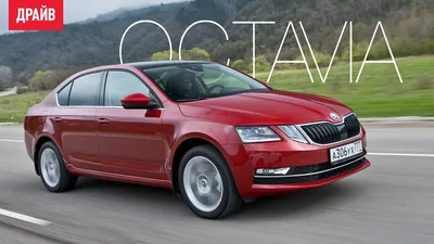 Смотрим в четыре глаза лифтбека Skoda Octavia — ДРАЙВ