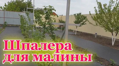 Шпалера для малины - YouTube