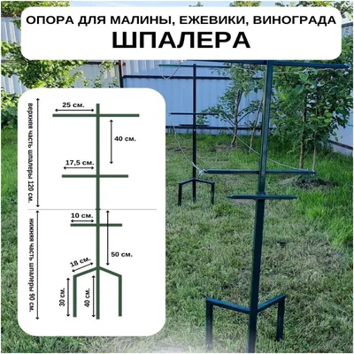 Шпалера для малины купить — купить по низкой цене на Яндекс Маркете