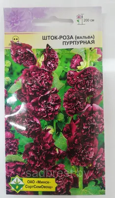 Семена Шток-роза мальва Пурпурная (0,15 гр) МССО: продажа, цена в Бресте.  Семена и клубни трав и цветов от \"Магазин Садовод, г. Брест\" - 122797829