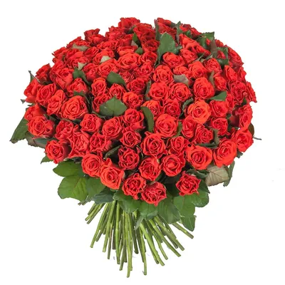 Эффектный букет из 51 розы Эль Торо и Сноу Флейк с доставкой по Киеву