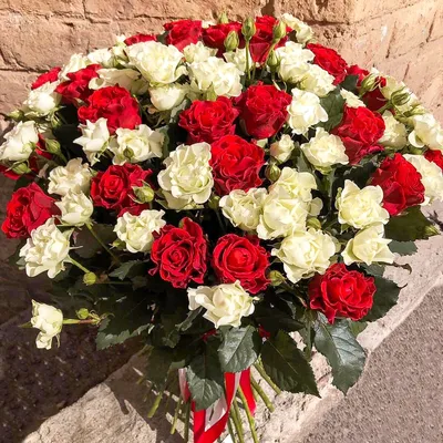 101 красная роза Эль-Торо Абу-Даби, заказ и доставка цветов по Абу-Даби |  UFL