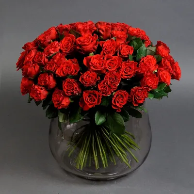 Купить букет красных роз Эль Торо с доставкой недорого в Московской области  | Дом Роз