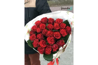 51 красная роза сорта эль торо | Flowerkiss