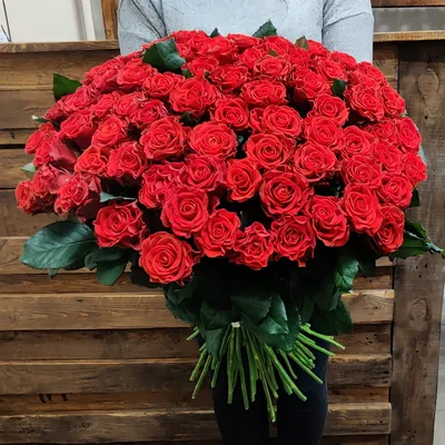 101 красная роза Эль-Торо Париж, заказ и доставка цветов по Парижу | UFL