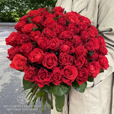 21 красная роза Эль Торо, Flowers \u0026 Gifts Krasnodar, buy at a price of 3445  RUB, Mono Bouquets on FloraShef with delivery | Flowwow