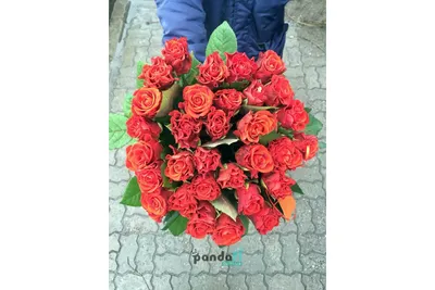 Букет 51 роза сорта \"Эль Торо\" - купить с доставкой от ElitBuket
