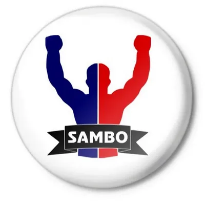 Самбо логотип (23 лучших фото)