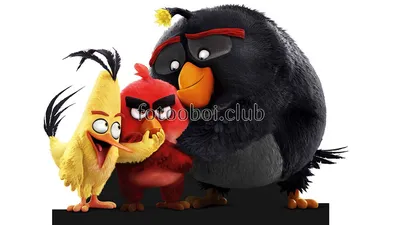 Фрески на стену птицы, Энгри Бертс, angry birds в Москве, aртикул: 2646 АШ