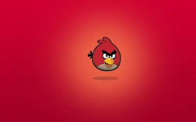 Angry Birds красная птица обои для рабочего стола, картинки и фото -  RabStol.net