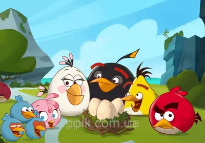 Вафельная Картинка Angry Birds/Злые Птички 7 — Купить Недорого на Bigl.ua  (752493227)