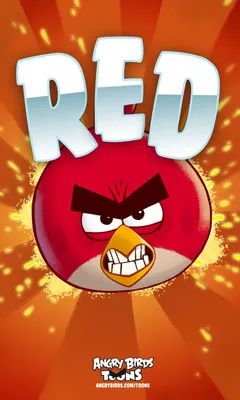 Angry Birds Злые Птицы - Красная Птица - Angry Birds - YouLoveIt.ru