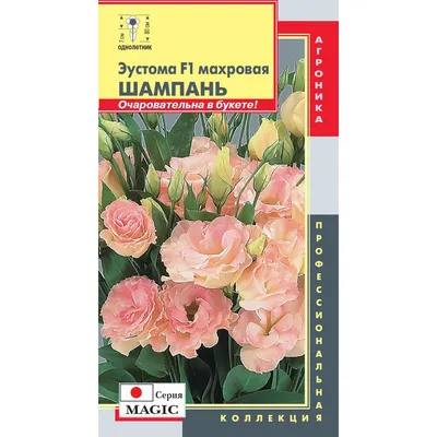 Эустома F1 махровая Шампань, 10шт., ЦП, Агроника купить в Уфе по цене 79 ₽  рублей