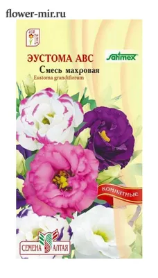 Эустома (Лизиантус) АВС Смесь махровая 5 шт. купить оптом в Томске по цене  36,17 руб.