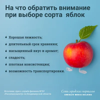 Яблочный Спас: советы, как правильно собирать и хранить урожай - 19 августа  2021 - Фонтанка.Ру