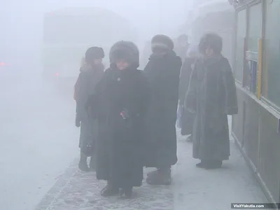 Почему в Якутии зимой многие не глушат машины на улице круглыми сутками |  Жизнь в движении | Пульс Mail.ru