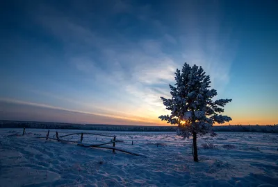 Зима Якутии, вспомним красоту зимы (ФОТО) | Пикабу