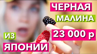 Малина душистая