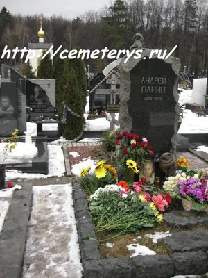 Комсомольская правда - 6 лет назад умер прекрасный актёр Андрей Панин.  Какой фильм с участием артиста нравится вам больше других? | Facebook