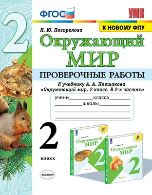 Книга \"Окружающий мир. 2 класс. Проверочные работы. К учебнику А. А.  Плешакова\" Погорелова Надежда Юрьевна – купить книгу ISBN 5-377-18868-1 с  быстрой доставкой в интернет-магазине OZON