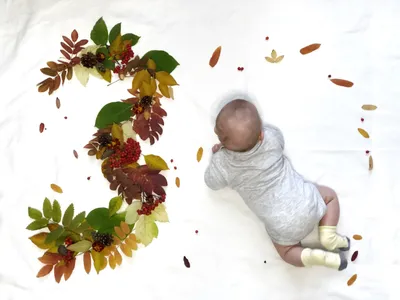 3 месяца | Ежемесячные фотографий, Фотосессии малыша, Фотографии  новорожденного