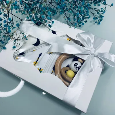Подарочный комплект из 3 вещей для новорожденного мальчика 0-3 месяца,  Подарок на выписку из роддома, цена 594 грн — Prom.ua (ID#1603072307)