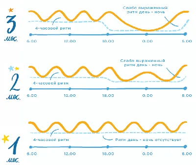 Режим дня 3 месячного ребенка - Сон в 3 месяца - Спи Малыш