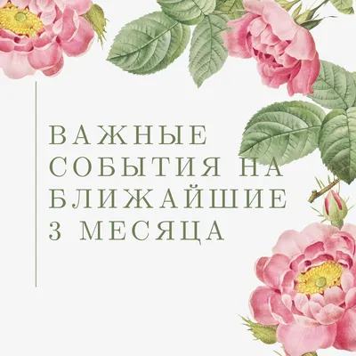 Таро-расклад: Какое важное событие ожидает вас в ближайшие 3 месяца?🌈 |  Таролог Любовь✨ | Дзен