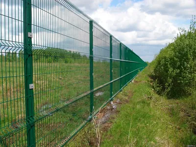 Забор зеленый металлический - 64 фото