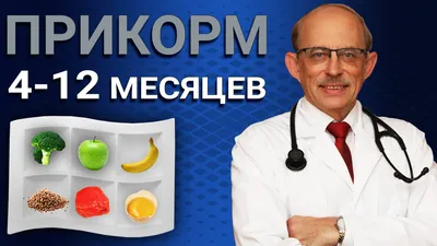 Правила введения прикорма ребенку 4 - 12 месяцев: первый прикорм, меню,  схемы, таблицы, принципы питания малыша - Университет здорового ребёнка  Няньковских