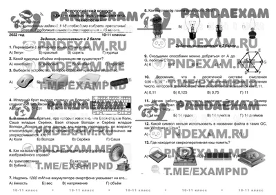 Конкурс КИТ 10-11 класс — задания и ответы. Компьютеры, информатика,  технологии (задания и ответы) 2022-2023 - PANDAEXAM