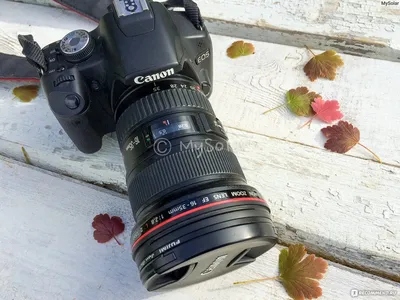 Canon EF 16-35 mm F/2.8 L II USM - «Подробный обзор объектива. 2 года  использования, 98% времени снимаю на объектив canon 16-35 mm. Опыт съемки с  зеркальной камерой начального уровня (кроп), много