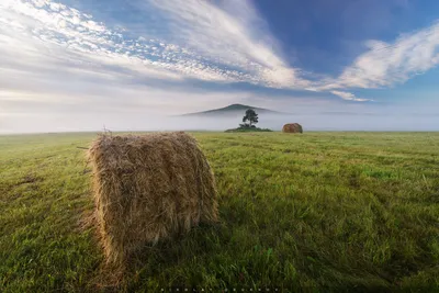 Обзор широкоугольного зума для КРОПнутых камер Tokina AT-X 11-16mm f/2.8 с  примерами фото на Nikon D7100 | Блог начинающего фотографа и путешественника