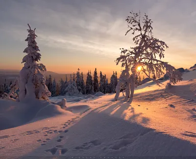 Обзор широкоугольного зума для КРОПнутых камер Tokina AT-X 11-16mm f/2.8 с  примерами фото на Nikon D7100 | Блог начинающего фотографа и путешественника