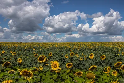 Canon EF 24 mm f/2.8 IS USM пример фотографии 220789423