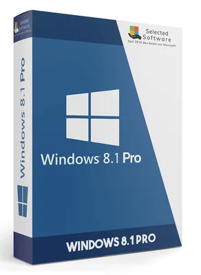 Microsoft Windows 8.1 Professional — выбранное программное обеспечение