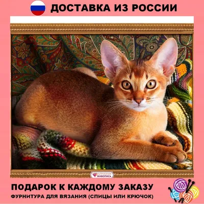 Алмазная вышивка Мосфа Абиссинский кот, 40х30 см.|Diamond Painting Cross  Stitch| - AliExpress