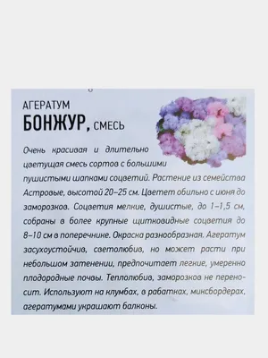 Агератум БОНЖУР семена, смесь окрасок за 35 ₽ купить в интернет-магазине  KazanExpress