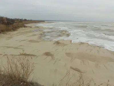 В Седово Азовское море отошло от берега на полкилометра - KP.RU