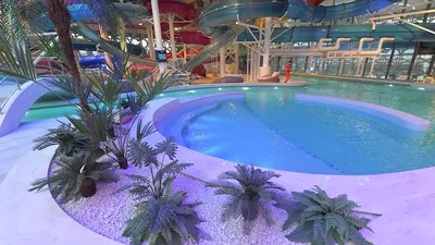 Инвестор сообщил о намерении достроить аквапарк в Кемерове - KP.RU