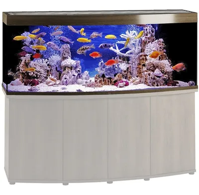 Аквариум Биодизайн Панорама 650 – купить в магазине аквариумов Акватория