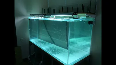 Строительство аквариума на 1000 литров, часть 5 - YouTube