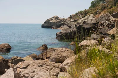 Зачем отдыхающие приезжают в Алупку (Крым) из года в год: Три весомые  причины | Зоркий | Пульс Mail.ru