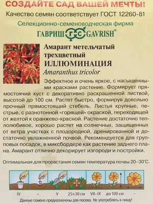 Амарант Иллюминация (семена,цветы) за 49 ₽ купить в интернет-магазине  KazanExpress